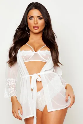 Mesh & Lace Robe & French Pantie Set